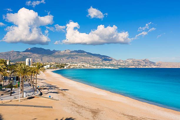 Imagen de la playa del El albir