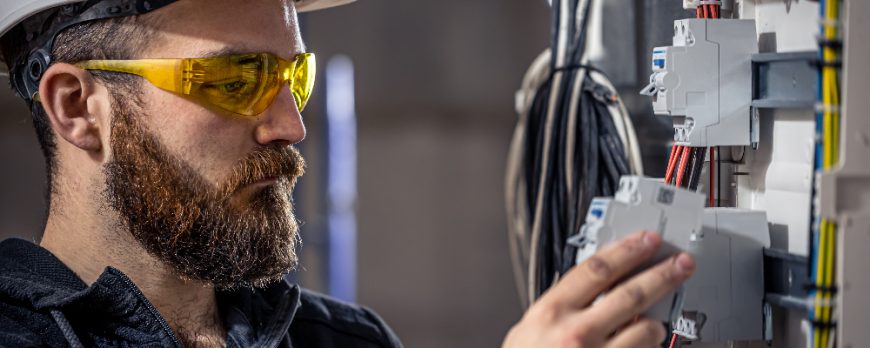 Descripción de la imagen